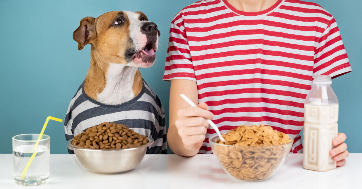 Why do gym goers eat dog food? The reason behind it is very strange